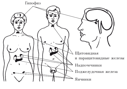 Иммунодефицитные состояния10