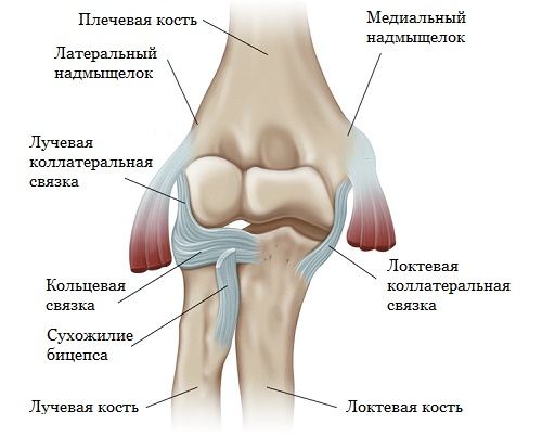 Диафизарные переломы плечевой кости10