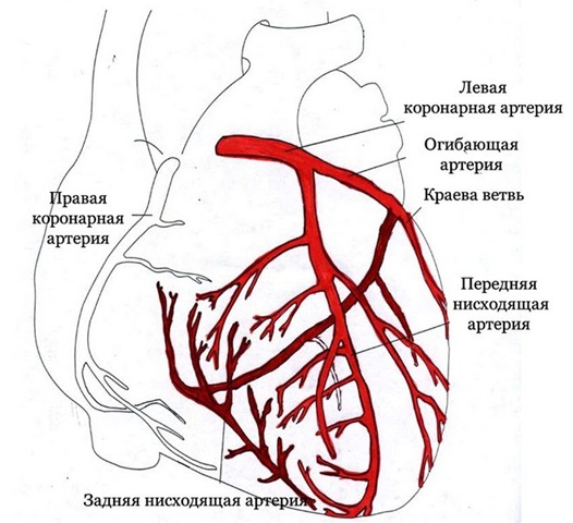 Осложнения искусственного кровообращения11
