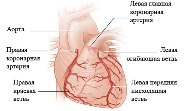 Робот-хирург11
