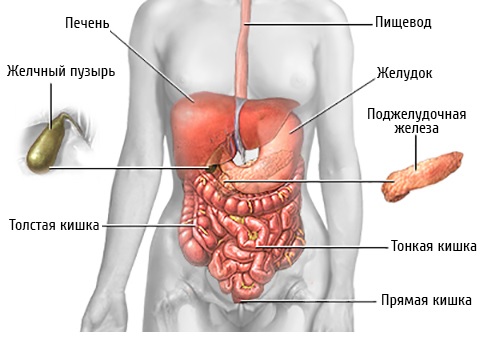 Повреждение желчных протоков11