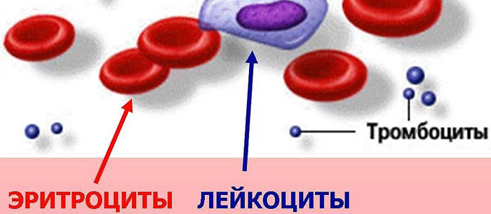 Неотложная реанимация12