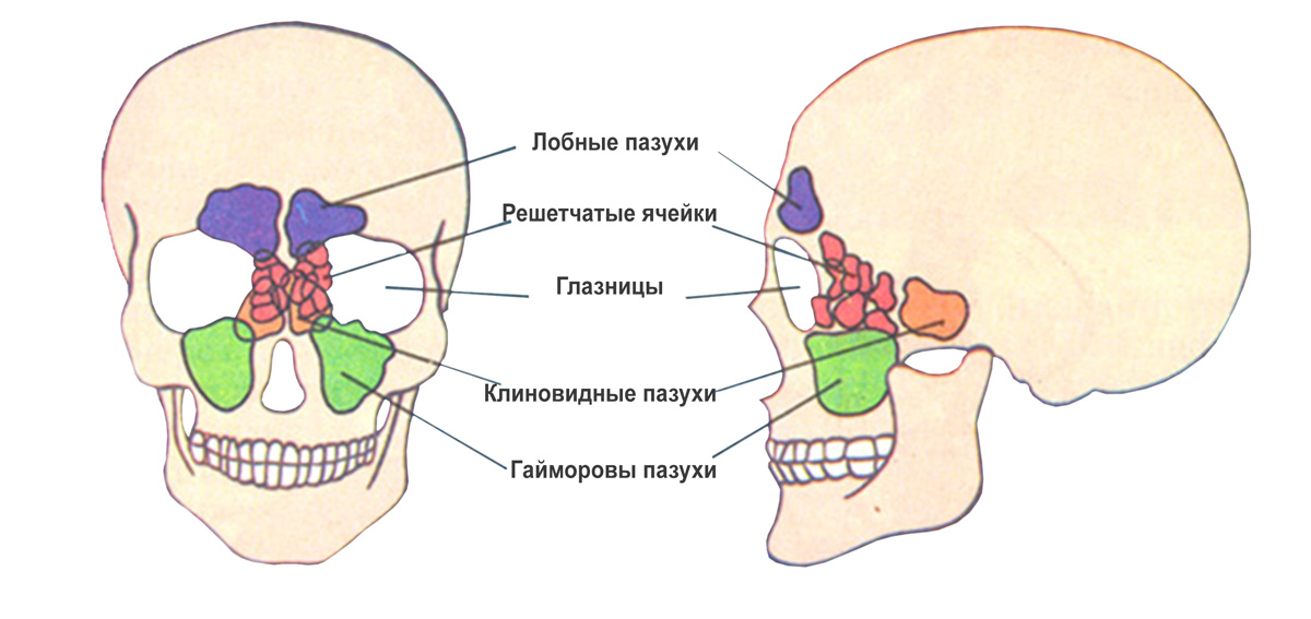 Фониатрия12