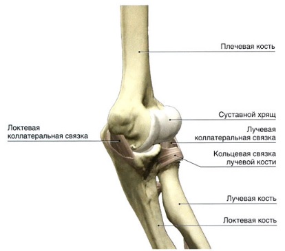 Контактные электроожоги12