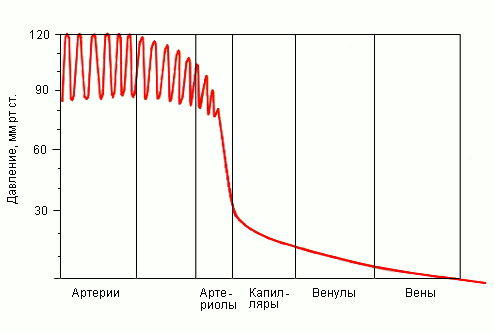 Транспозиция магистральных сосудов: операция, этапы, последствия14