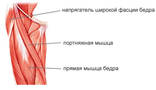 Повреждения связок коленного сустава19