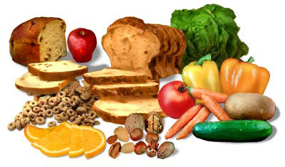 Политика в отношении питания1