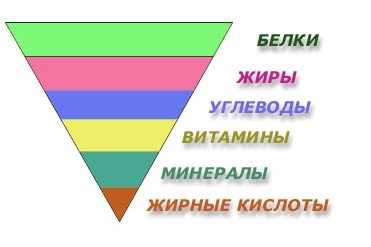 Питательные вещества1