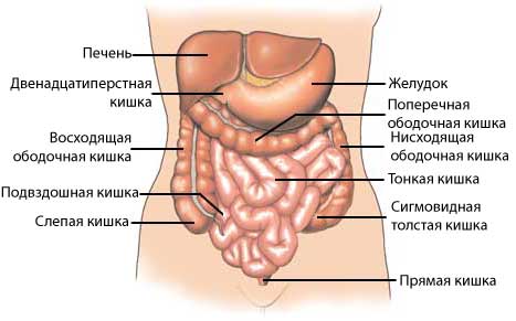 Непроходимость толстой кишки: симптомы, лечение, операция1