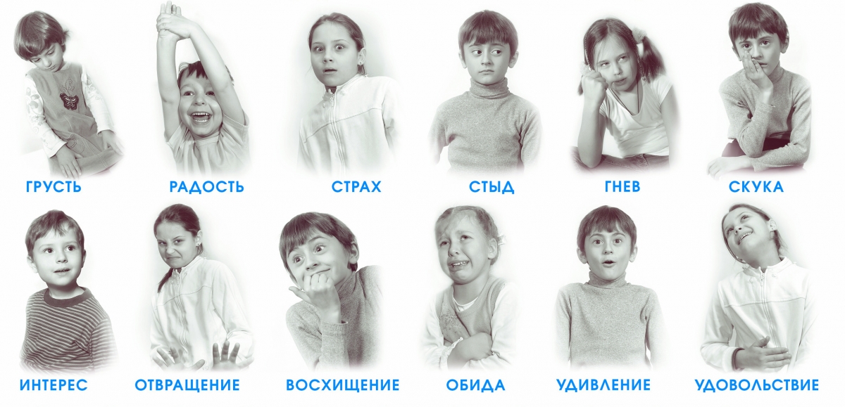 Патология эмоциональной сферы2