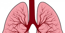 Обструкция верхних дыхательных путей