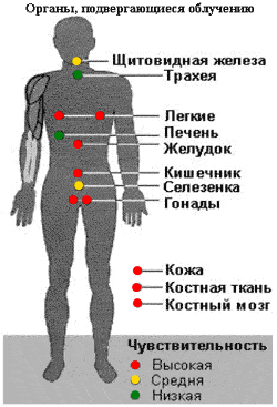 Влияние радиоактивного излучения на организм2