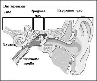 Болезнь Меньера: симптомы, лечение2