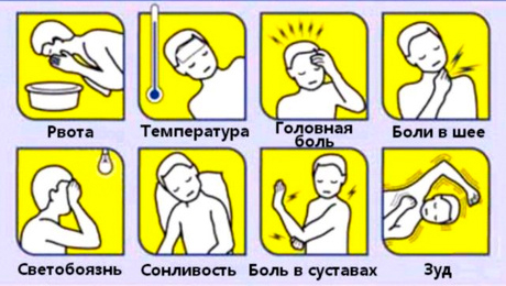 Серозный менингит у детей — симптомы, лечение, профилактика2