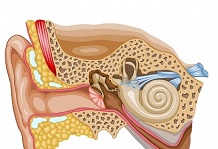 Плохо слышит ухо, причины