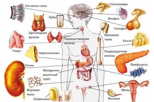Заболевания эндокринной системы у детей2