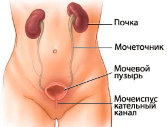 Операции на мочеполовой системе2