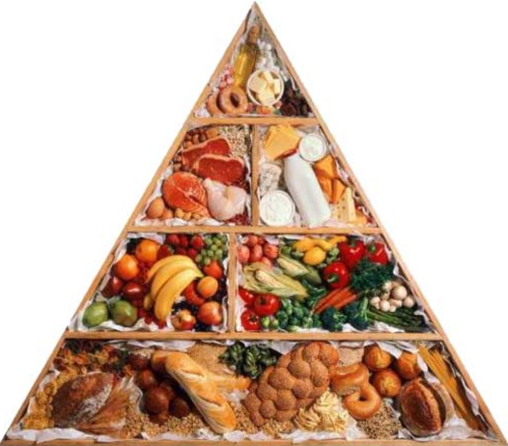 Политика в отношении питания3