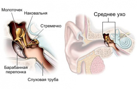 Боль в ухе: причины, симптомы, лечение3