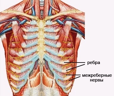Блокада нерва3