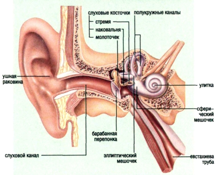 Заболевания уха3