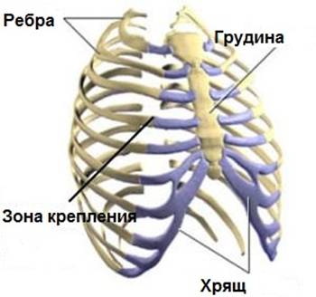Синдром Титце: симптомы, диагностика, лечение3