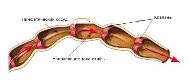 Физика лазерного излучения4