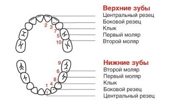 Восстановление переднего зуба4