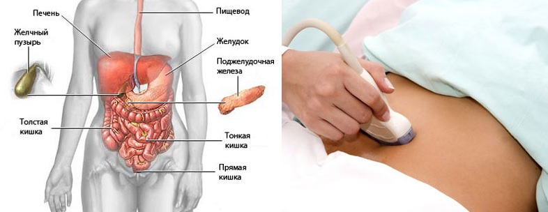 УЗИ селезенки, поджелудочной железы4