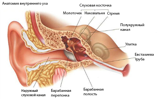 Болезнь Меньера: симптомы, лечение4
