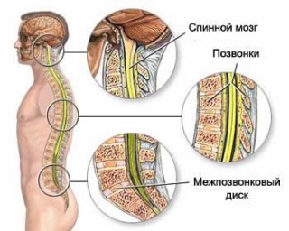 Травма центральной нервной системы4