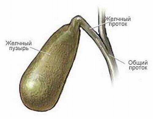 Почему болит в области сердца5
