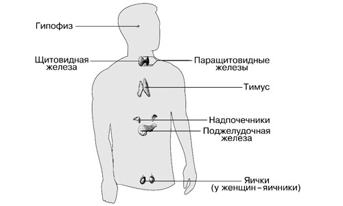 Заболевания эндокринной системы у детей5