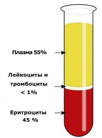 Рожистое воспаление: симптомы, формы, лечение5