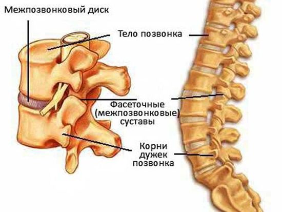 Почему болит в паху у мужчин: причины, варианты лечения, последствия5
