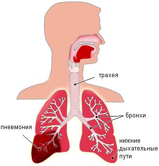 Почему болит между лопаток: причины, лечение, последствия5