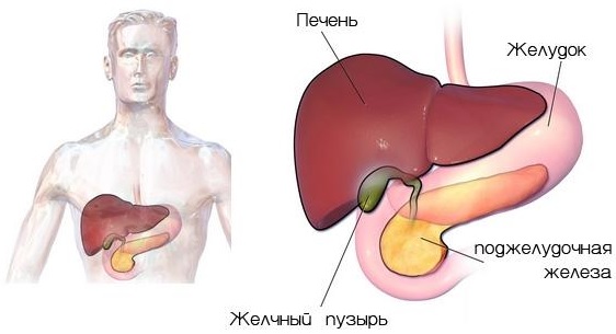 Лапароскопическая холецистэктомия6