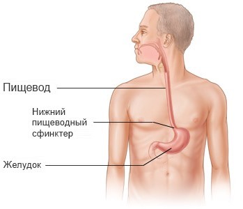Эндоскопическая склеротерапия6