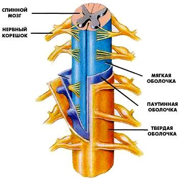 Травма центральной нервной системы6