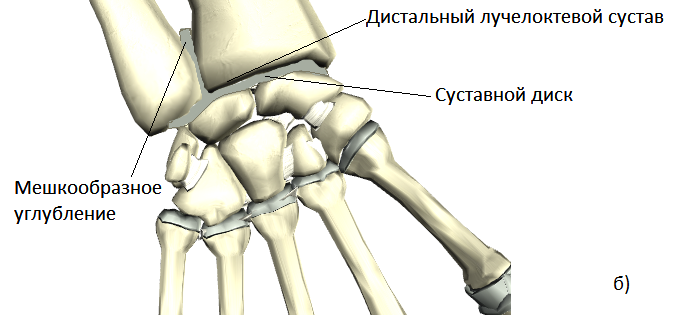 Пересадка пальцев с ног на руку7