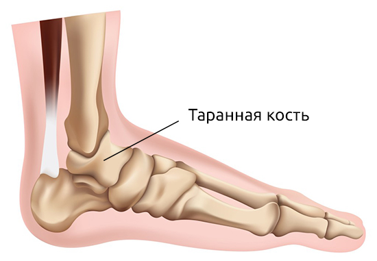 Заболевания голеностопного сустава7