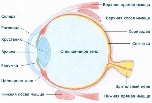 Анестезия в офтальмологии7