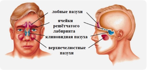 Эндоскопическая операция на пазухах носа8
