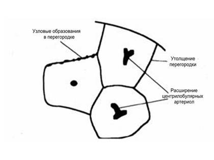 Дыхательная система детей8