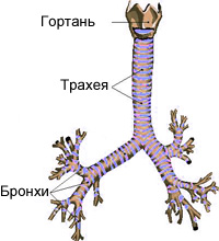 Обезболивание самостоятельных родов8