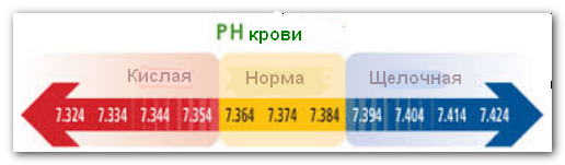 Физиологические изменения в организме при беременности9