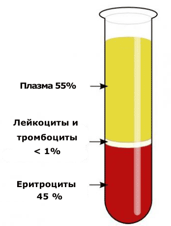 Заболевания печени: признаки, симптомы, анализы10