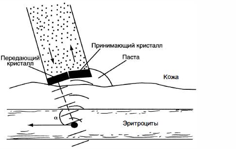 Оценка состояния плода: развитие, размер, шевеление10