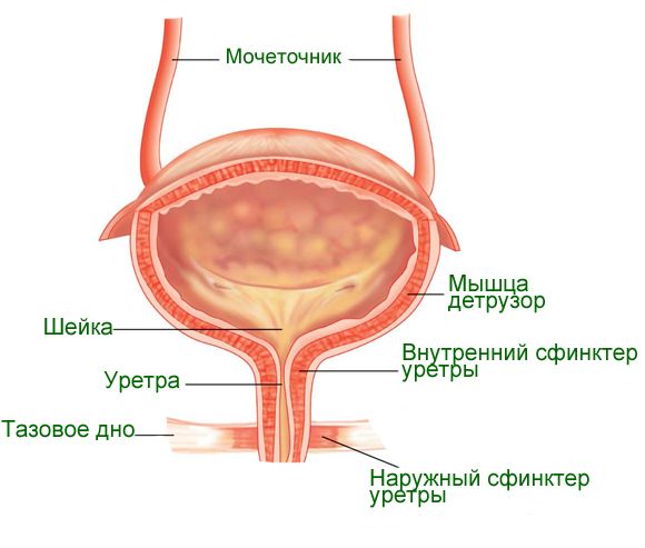 Камни мочеиспускательного канала у детей: лечение10