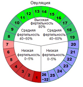 Болезненная овуляция: причины, симптомы, лечение10